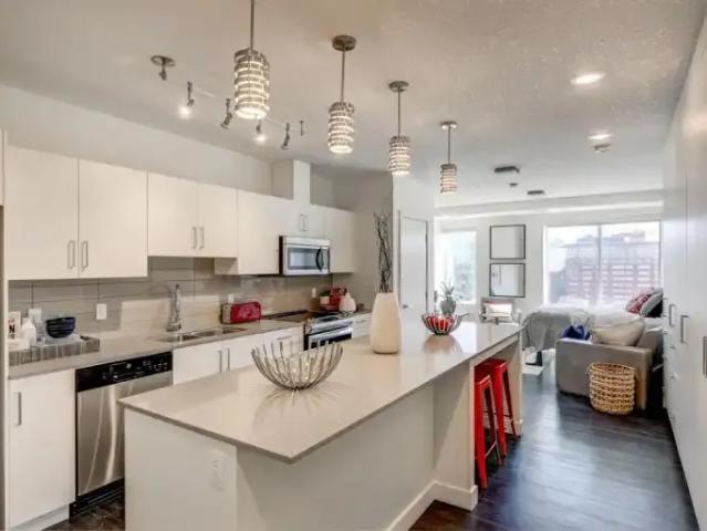 For Rent 1 Bedroom Apartment Edmonton AB DS101724386