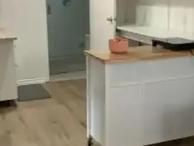 For Rent 1 Bedroom Apartment Edmonton AB DS102658437