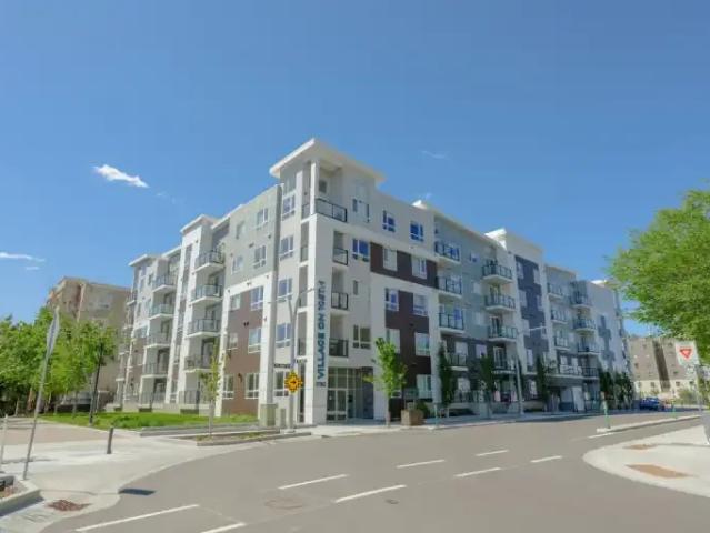 For Rent 1 Bedroom Apartment Edmonton AB DS103322070