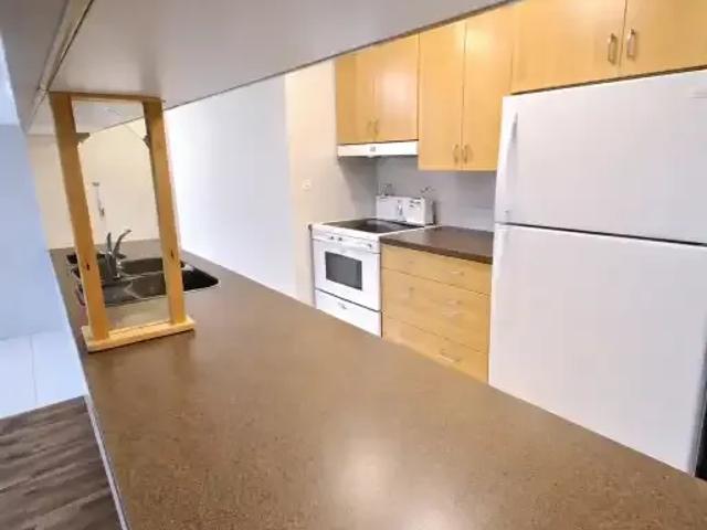For Rent 1 Bedroom Apartment Edmonton AB DS103611009