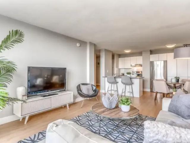 For Rent 1 Bedroom Apartment Edmonton AB DS103694944