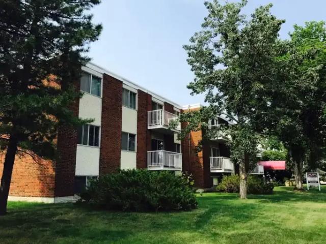 For Rent 1 Bedroom Apartment Edmonton AB DS103739354