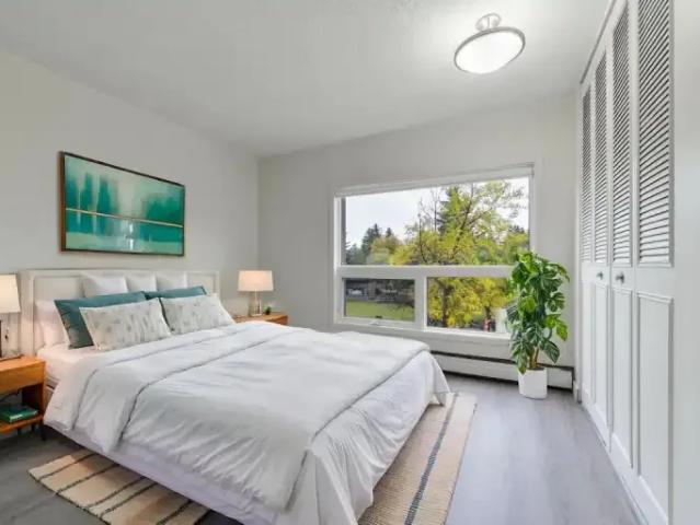 For Rent 1 Bedroom Apartment Edmonton AB DS103739676