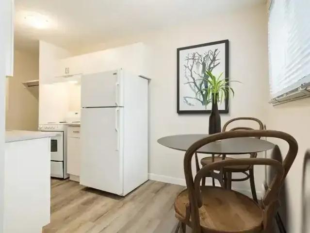 For Rent 1 Bedroom Apartment Edmonton AB DS103839272