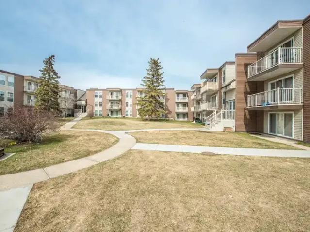 For Rent 1 Bedroom Apartment Edmonton AB DS103878664