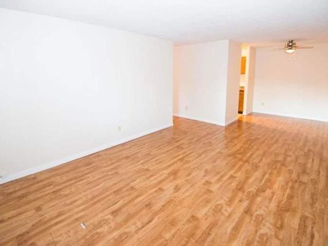 For Rent 1 Bedroom Apartment Edmonton AB DS93356256