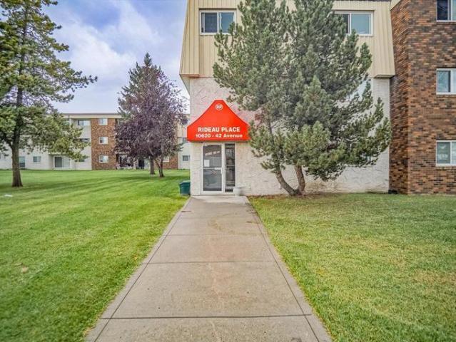For Rent 1 Bedroom Apartment Edmonton AB DS95424355
