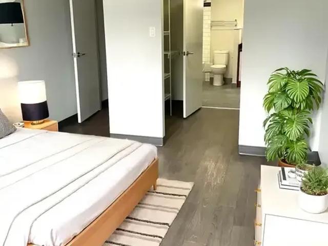 For Rent 1 Bedroom Apartment Edmonton AB DS96588921
