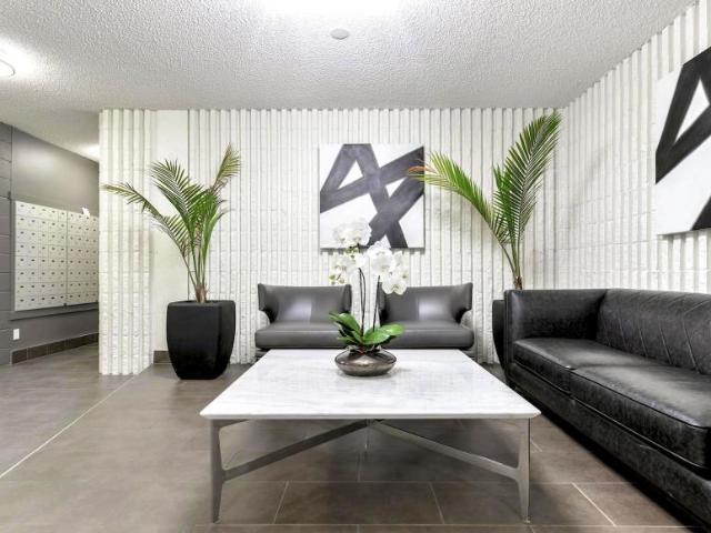 For Rent 1 Bedroom Apartment Edmonton AB DS97742030