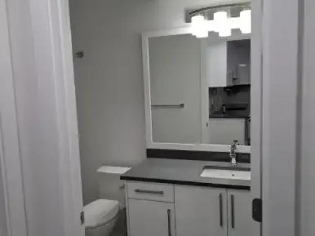 For Rent 1 Bedroom Apartment Edmonton AB DS98219984