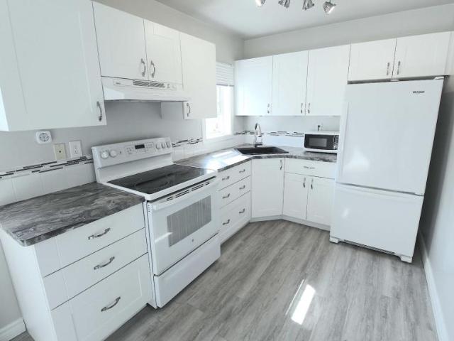 For Rent 1 Bedroom Apartment Edmonton AB DS98310690