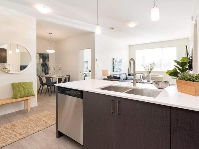 For Rent 1 Bedroom Apartment Edmonton AB DS98313573