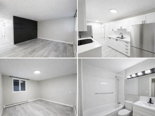 For Rent 1 Bedroom Apartment Edmonton AB DS98313177