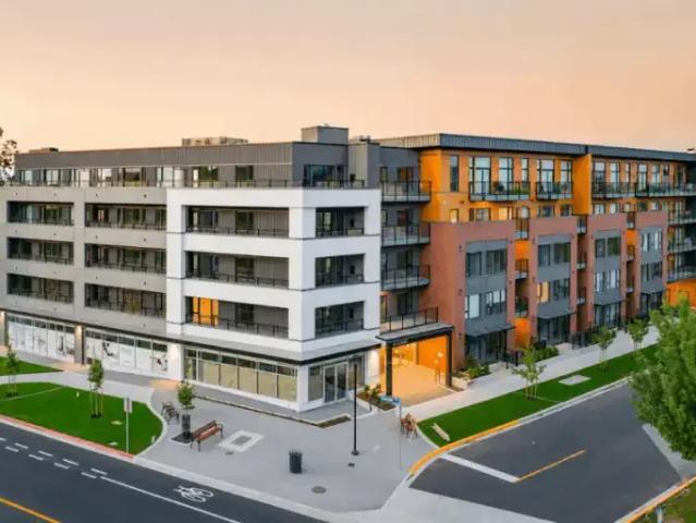For Rent 1 Bedroom Apartment Esquimalt BC DS104470338