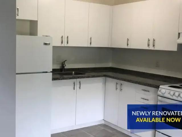 For Rent 1 Bedroom Apartment Fenwick ON DS98140520