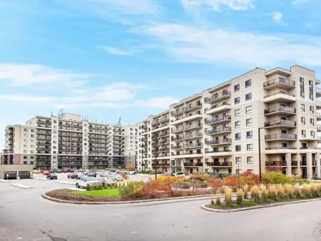 For Rent 1 Bedroom Apartment Guelph ON DS104223976
