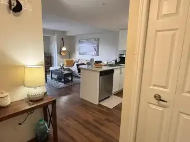 For Rent 1 Bedroom Apartment Guelph ON DS105119014
