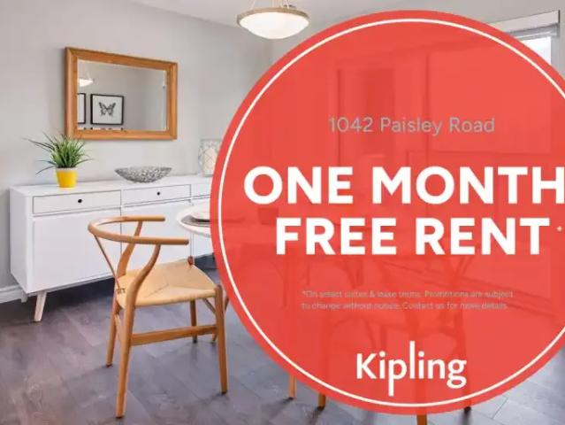 For Rent 1 Bedroom Apartment Guelph ON DS96255338