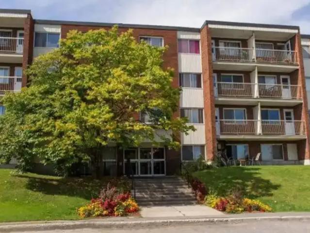 For Rent 1 Bedroom Apartment Gatineau QC DS104711329