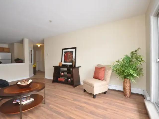 For Rent 1 Bedroom Apartment Halifax Nova Scotia DS96249760