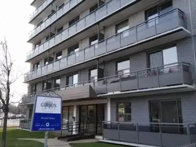For Rent 1 Bedroom Apartment Hamilton ON DLS100975855