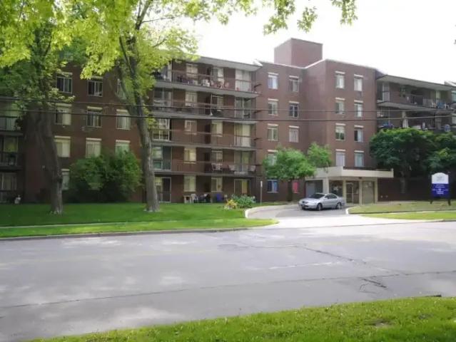 For Rent 1 Bedroom Apartment Hamilton ON DLS100976275
