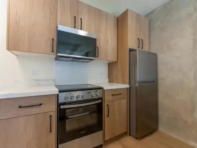 For Rent 1 Bedroom Apartment Hamilton ON DLS101687219
