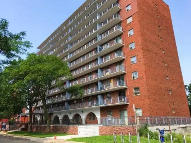 For Rent 1 Bedroom Apartment Hamilton ON DLS101878501