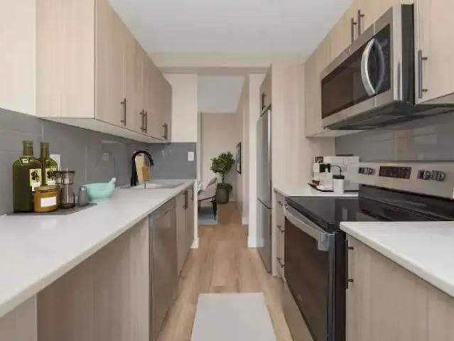 For Rent 1 Bedroom Apartment Hamilton ON DLS101985765