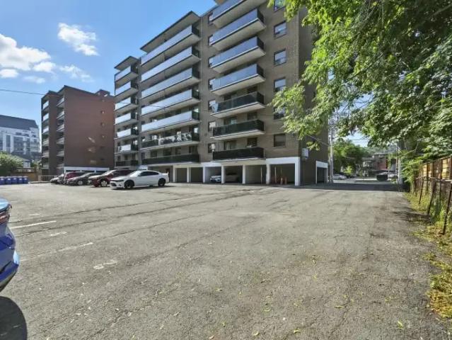 For Rent 1 Bedroom Apartment Hamilton ON DS100975513