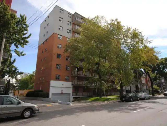 For Rent 1 Bedroom Apartment Hamilton ON DS100975896