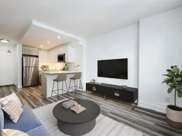 For Rent 1 Bedroom Apartment Hamilton ON DS103366879