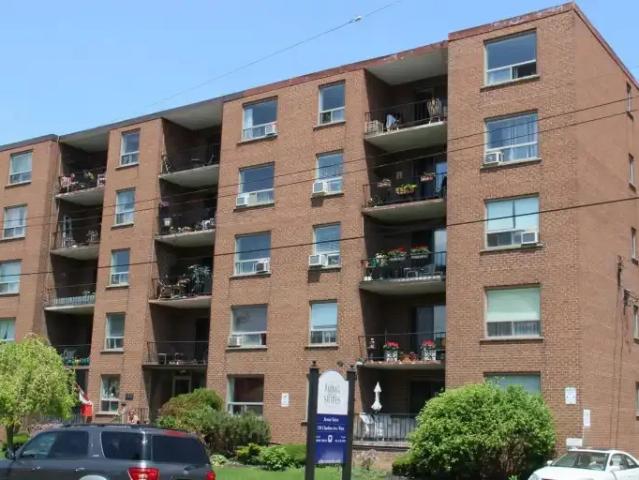 For Rent 1 Bedroom Apartment Hamilton ON DS103569119