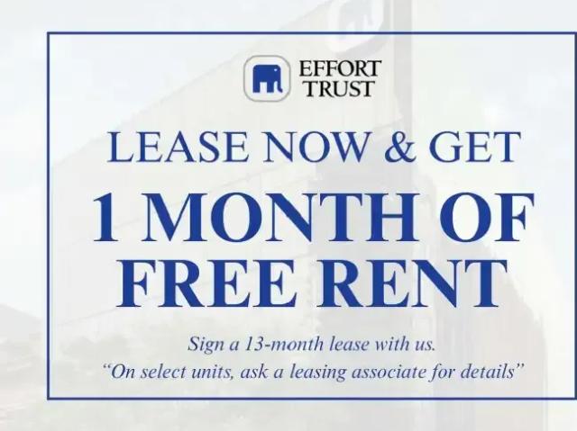 For Rent 1 Bedroom Apartment Hamilton ON DS103958567