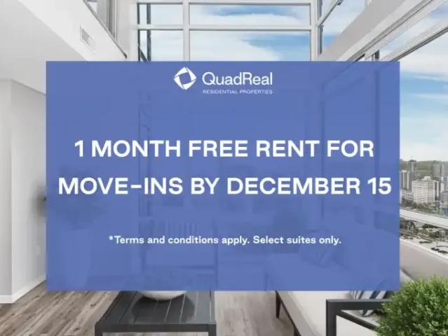 For Rent 1 Bedroom Apartment Hamilton ON DS94212700