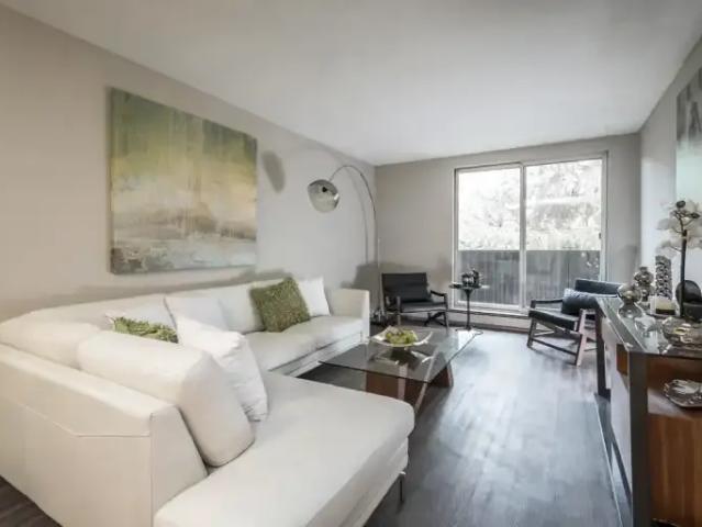 For Rent 1 Bedroom Apartment Hanover ON DS100226809