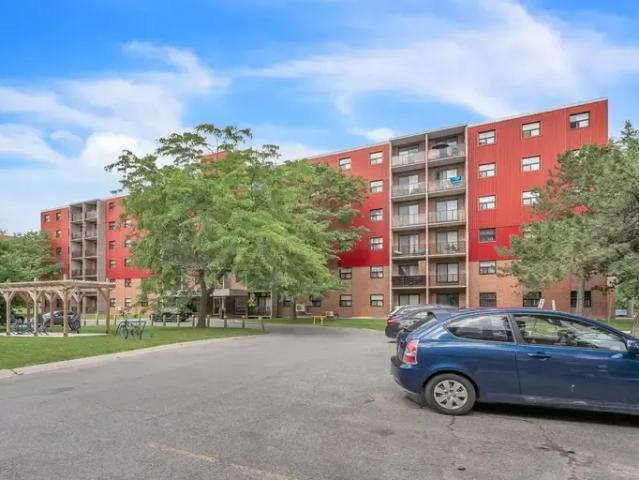 For Rent 1 Bedroom Apartment Kingston ON DLS96585456
