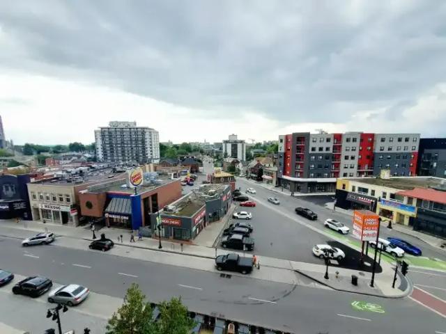 For Rent 1 Bedroom Apartment Kingston ON DS104433781