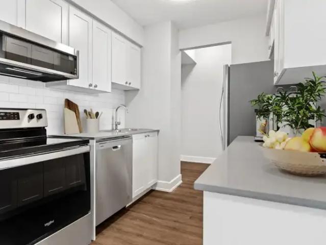 For Rent 1 Bedroom Apartment Kingston ON DS102951434