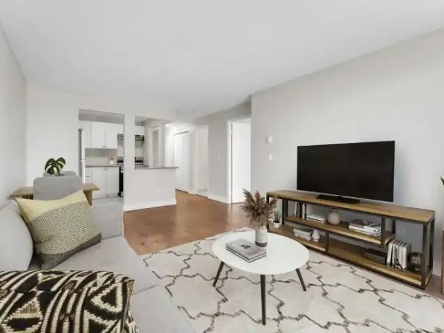 For Rent 1 Bedroom Apartment Kingston ON DS103215470