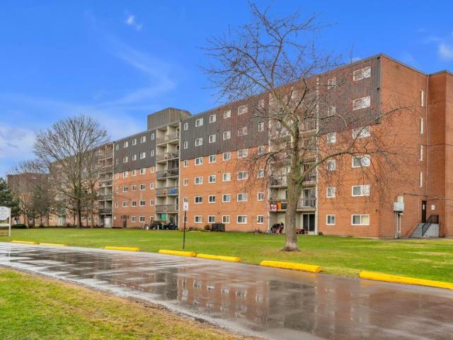 For Rent 1 Bedroom Apartment Kingston ON DS95020261