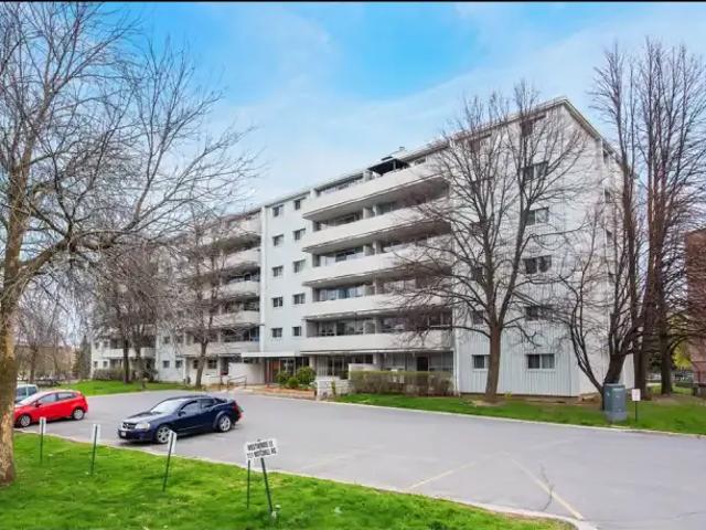 For Rent 1 Bedroom Apartment Kingston ON DS99753106