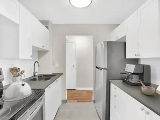 For Rent 1 Bedroom Apartment Kingston ON DS99972522