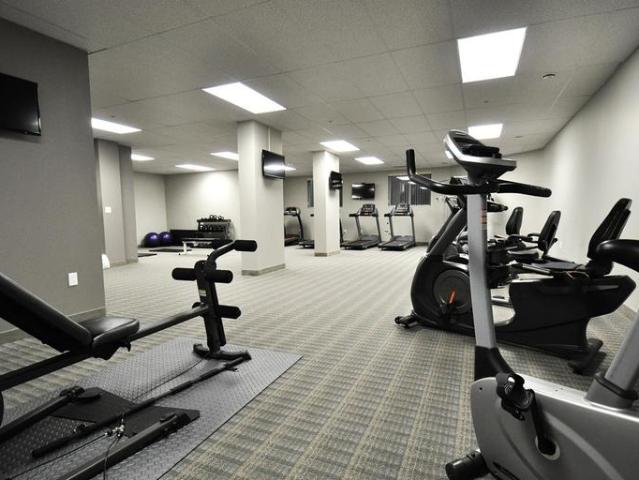 For Rent 1 Bedroom Apartment Kitchener ON DLS95028697