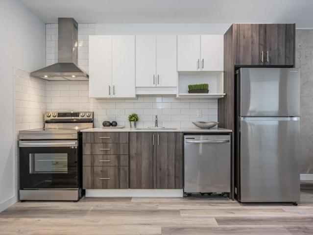 For Rent 1 Bedroom Apartment Kitchener ON DLS96587293