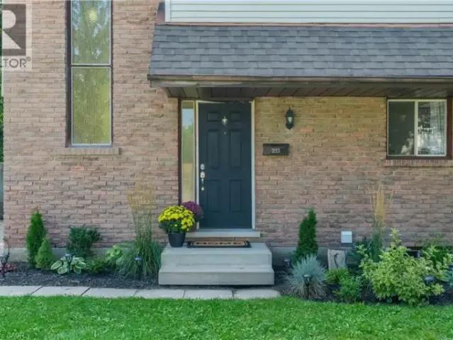 For Rent 1 Bedroom Apartment Kitchener ON DLS101476075