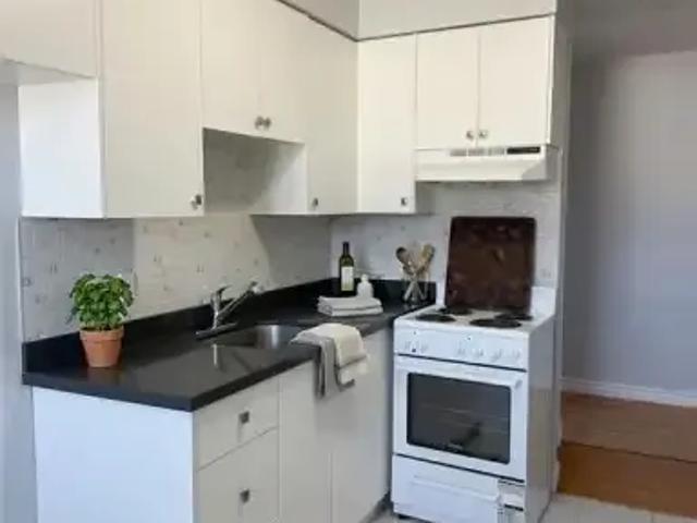 For Rent 1 Bedroom Apartment Kitchener ON DLS101507900