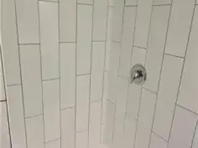 For Rent 1 Bedroom Apartment Kitchener ON DS100171082