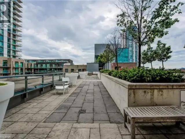For Rent 1 Bedroom Apartment Kitchener ON DS100171247
