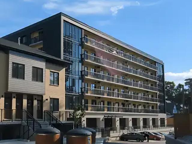 For Rent 1 Bedroom Apartment Kitchener ON DS100976052